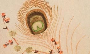 A Garden in A Pocket