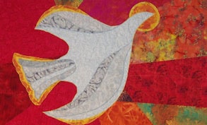 same sex, LGBTQIA, marriage equality